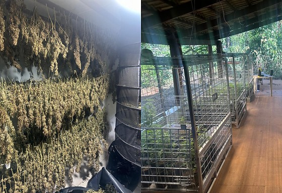 Polícia deflagra operação para prender traficantes durante a Operação “Green Lab