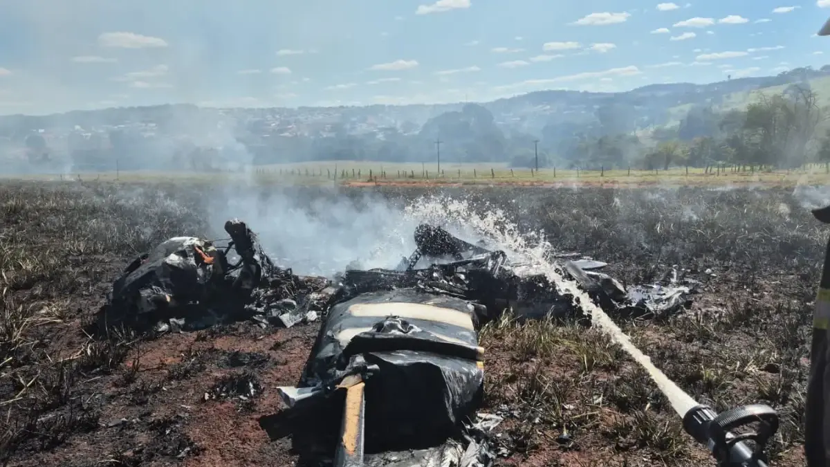 Avião de pequeno porte explode após cair em área rural de Nerópolis (Foto: Divulgação/Corpo de Bombeiros)