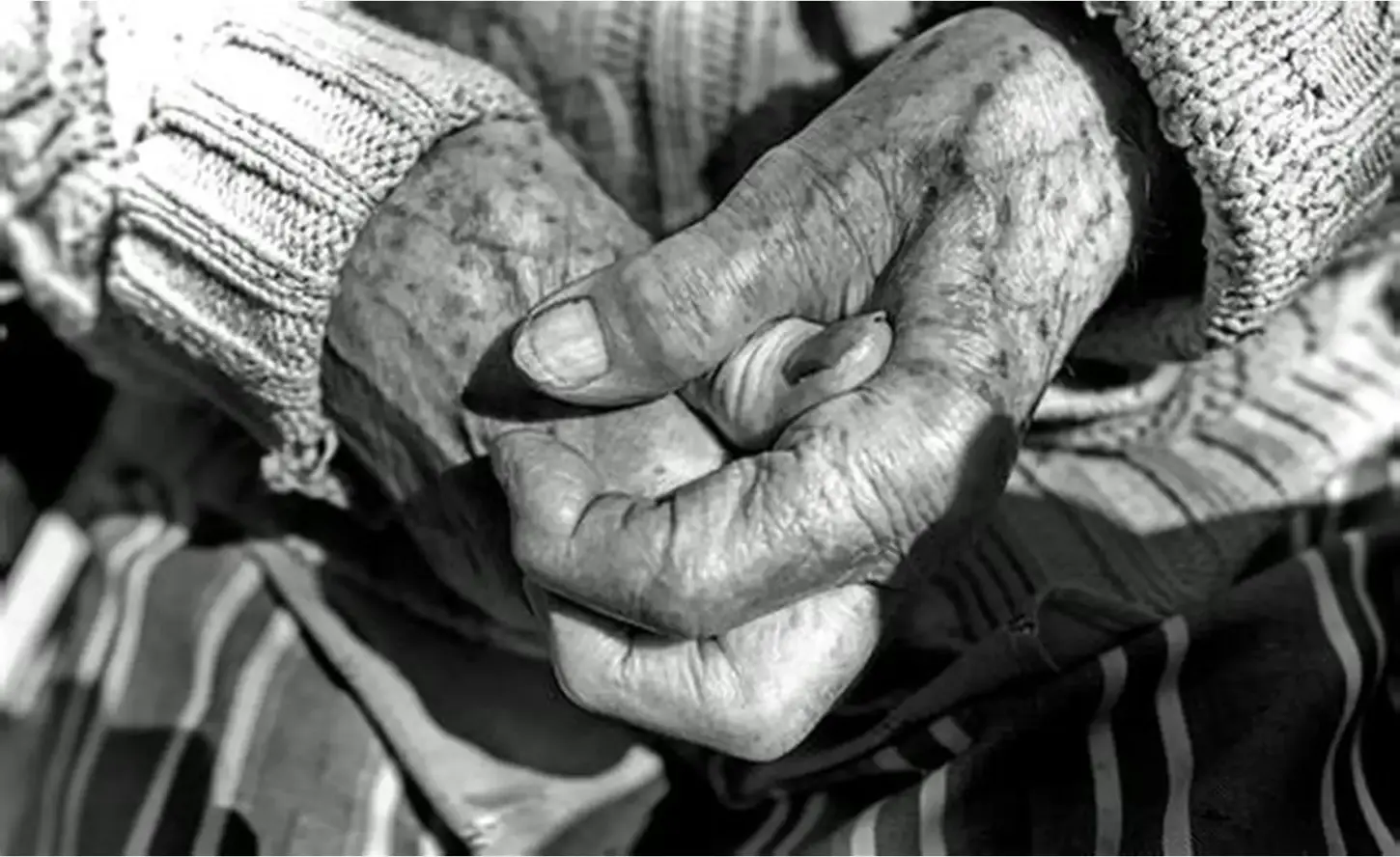 Foto Ilustrativa