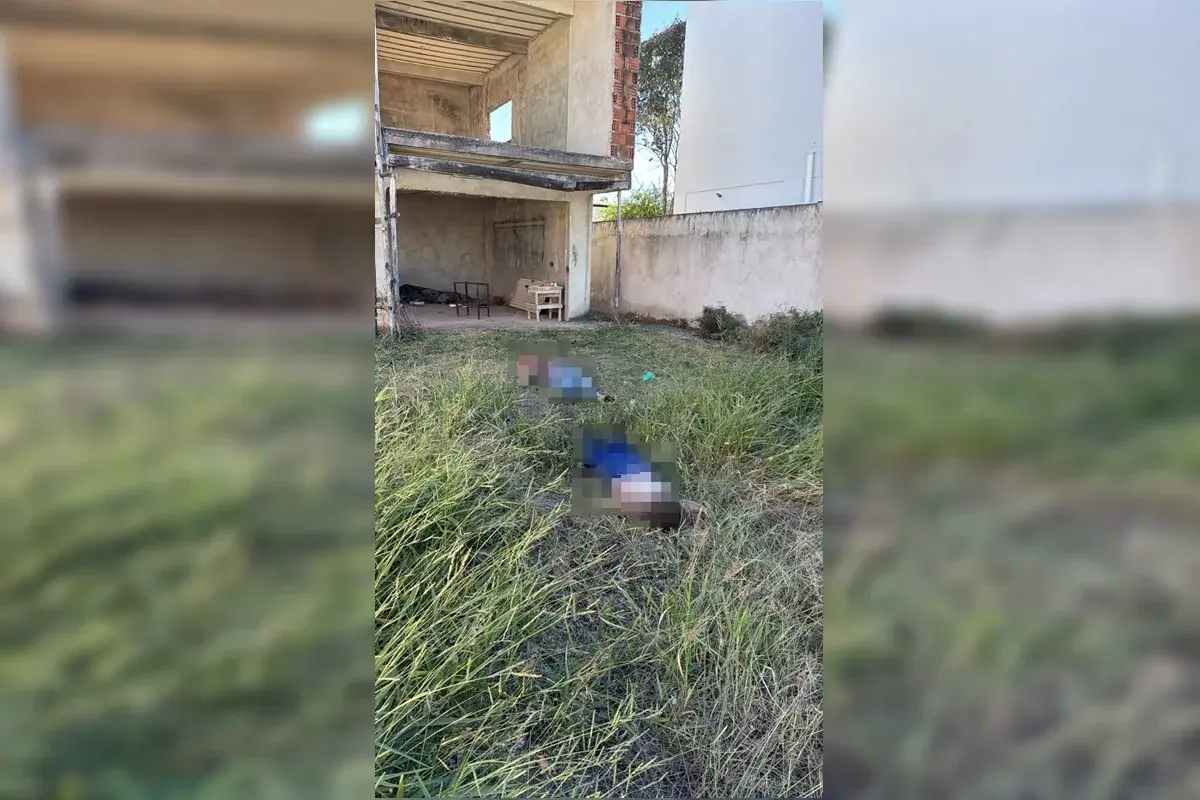 Mortos enquanto Limpavam lote