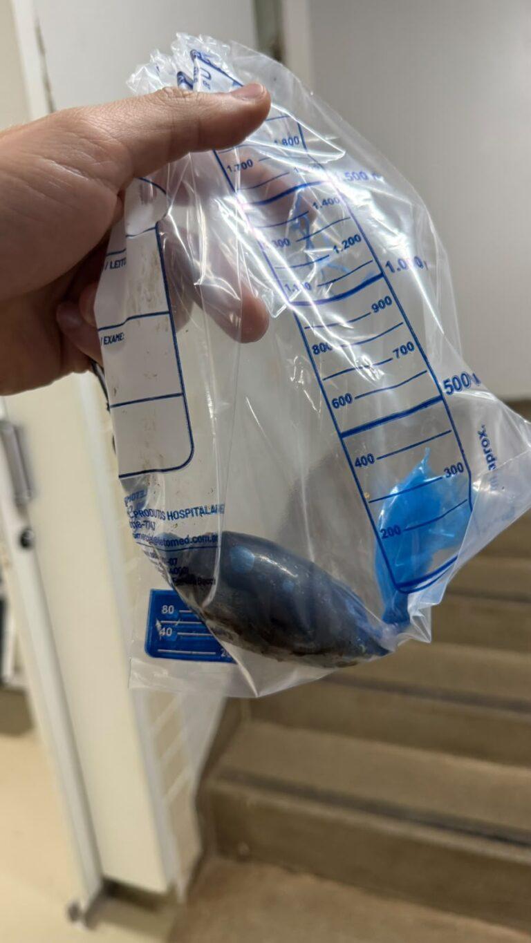 Mulheres presas tentando entrar no presídio com drogas