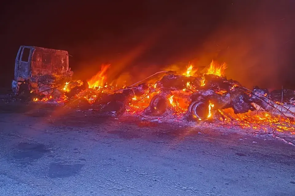 Bezerros morrem após caminhão pegar fogo na GO-112, na zona rural de Nova Roma (Foto: divulgação)