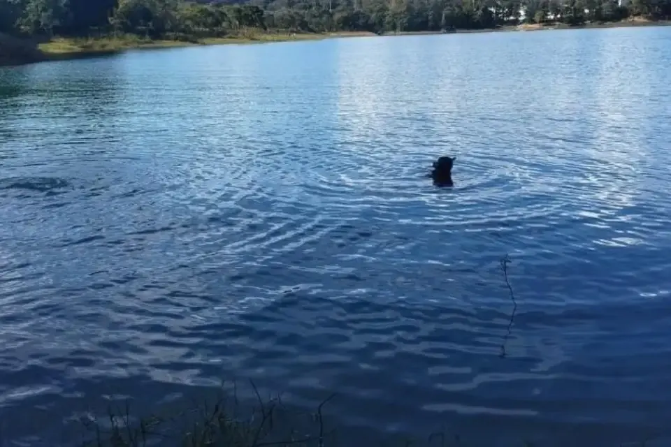 Tia tenta salvar sobrinho e ambos morrem afogados no Lago Corumbá