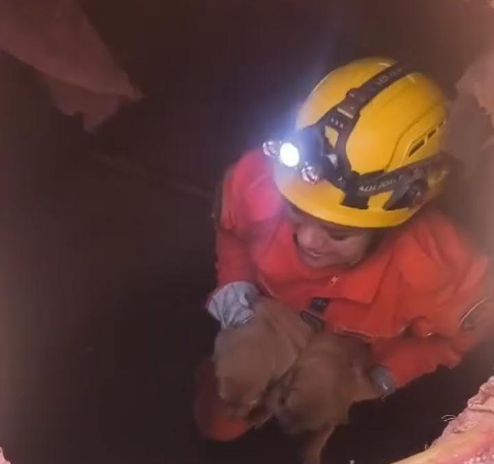 Vídeo mostra momento que bombeiros resgatam filhotes de cachorros presos em tubulação de água pluvial