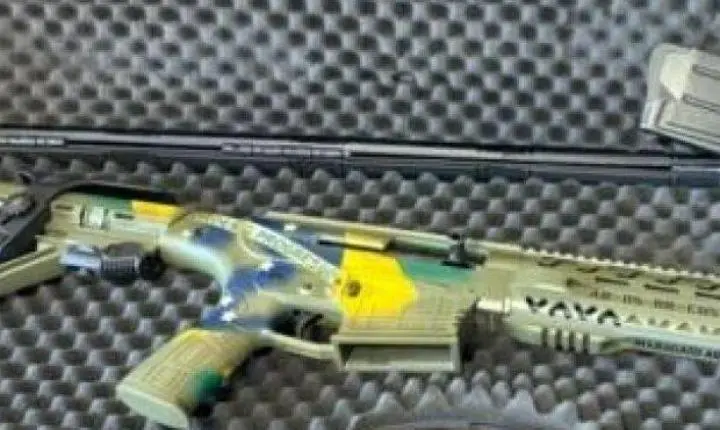 Fuzil de Bolsonaro apreendido pela PF foi customizado com pintura da bandeira do Brasil