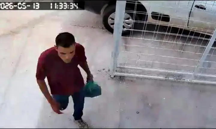 Operação policial coloca atrás das grades acusado de assaltar casa e colocar arma na cabeça de criança em Luziânia; Vídeo 