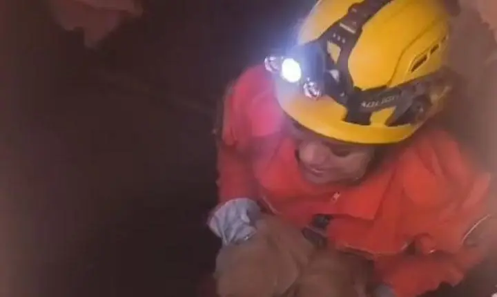 Vídeo mostra momento que bombeiros resgatam filhotes de cachorros presos em tubulação de água pluvial