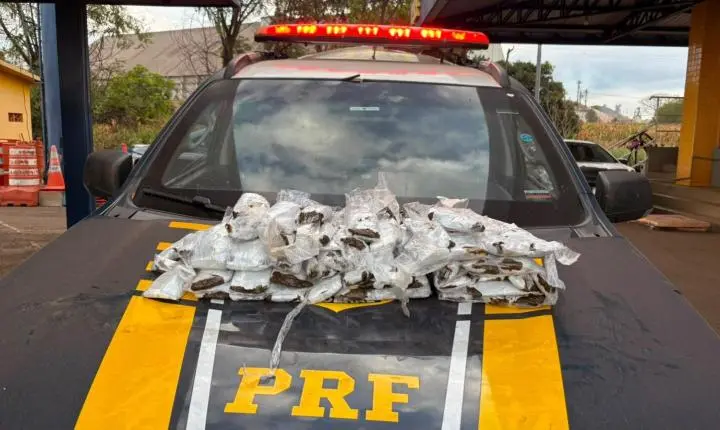 Mulheres são flagradas com drogas presas ao corpo durante fiscalização da PRF na BR-060, em Goiás